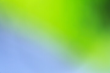 明るいパステルカラー調の緑の背景イメージ