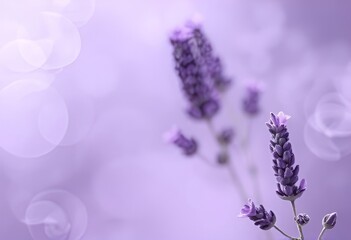 Lavender Floral Fog A soft purple hued vapor that brings the cal