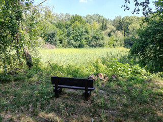 Resting Spot by Green Lakeside