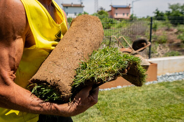Carrying Fresh Sod Rolls for Lawn Installation
