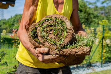 Transporting a Fresh Roll of Turfgrass