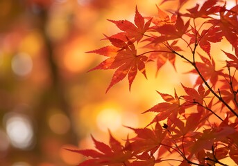 Fototapeta premium Closeup of vibrant red autumn maple leaves with bokeh background