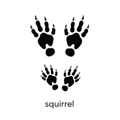 Vector art of squirrel paw prints isolated on white background, animal tracks vector