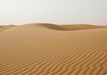 Golden desert sand dunes
