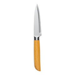 Stainless steel kitchen knife with sharp blade and wooden handle for food preparation and cutting tasks