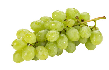 Fresh green grapes cluster with dewdrops on a white background isolated from other fruits market view