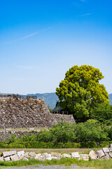 Beautiful Landscape of Nara