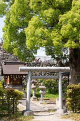 Beautiful Landscape of Nara