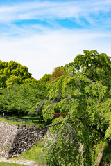 Beautiful Landscape of Nara