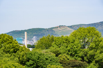 Beautiful Landscape of Nara