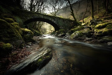 Moss-covered stone arch bridge over a flowing stream in a woodland