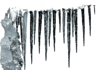 Icicles hanging from a frozen surface isolated on transparent background