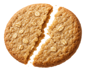 Oatmeal cracker split, textured surface crumbling at the edges.