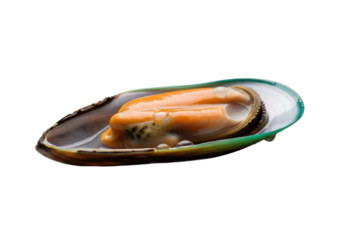 A single, perfectly cooked large green-lipped mussel on half shell, vibrant orange-green flesh, iridescent shell, on a clean transparent background, extreme macro view, culinary perfection and gourmet