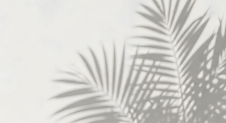 Palm leaf shadows on white plaster wall, sunlit minimalist background with copy space