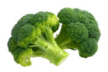 Fresh green broccoli on white background for healthy eating and vegetarian lifestyle inspiration