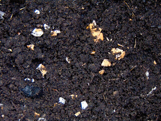 Soil and organic compost of egg shell