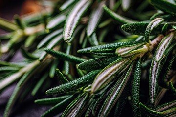Close-up of vibrant green rosemary sprigs, showcasing needle-like leaves and subtle light-colored veins, resting on a dark surface