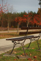 A lonely forged beautiful bench against the backdrop of an autumn park, the theme of reflection,...