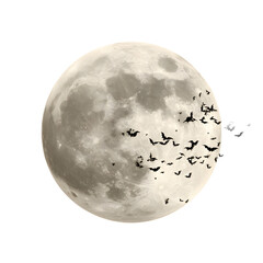 Silhouetted bats fly in front of a full moon. Night scene evokes mystery, holidays and the autumn season.