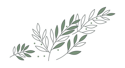 Obraz premium Elegant Greenery Botanical Illustration Line Art Design