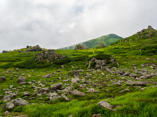 トムラウシ公園