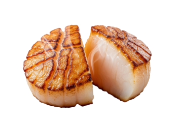 Perfectly seared sea scallops, one crispy and whole, one cut to reveal succulent steaming interior, ultra-close-up on transparent background. Culinary perfection concept