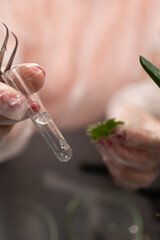 A scientist conducts research on aloe plant specimens in a laboratory, utilizing test tubes and...