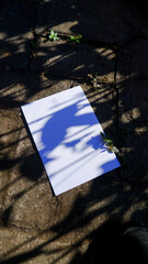 plain a4 poster paper mockup with natural light outdoor scene