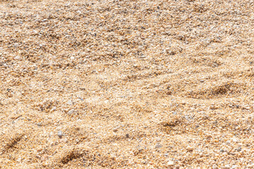Close-up of fine beach pebbles in shades of beige and cream under bright sunlight
