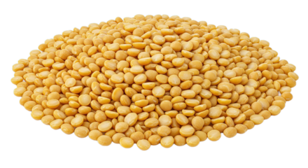 Chana dal bengal gram split chickpeas lentils indian cuisine healthy food ingredient culinary staple diet 100g