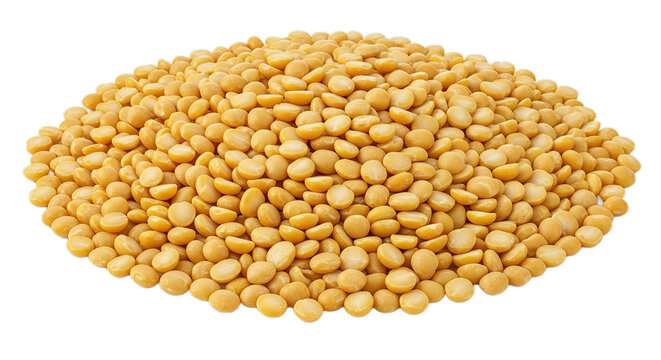 Chana dal bengal gram split chickpeas lentils indian cuisine healthy food ingredient culinary staple diet 100g