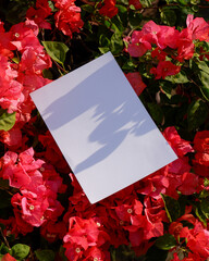 plain a4 poster paper mockup on the red flowers background