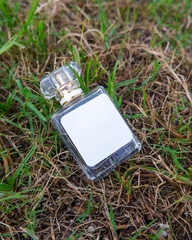 Perfume bottle mockup with plain white label on the green grass background