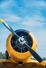 Detailed front view of a restored yellow vintage warbird, highlighting its radial engine and...