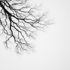 Bare tree branches against a light sky