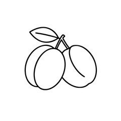 Illustration of plums in a simple linear style 