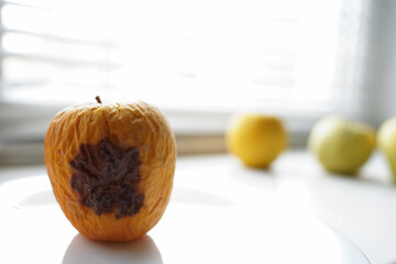 rotten fruits on a light background, apricot and apple