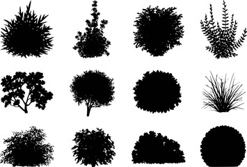 Diverse botanical silhouettes showcasing various plant forms and textures plants