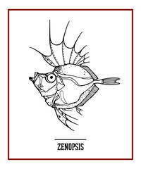 Hand drawn illustration of a deep sea fish made in graphic steampunk style. Ink drawing, beautiful design elements. Perfect print for any business related to the fish industry.