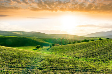 green spring or fummer farm field. rural landscape of countryside wirh agriculture view in farmland with beautiful cloudy sky on background