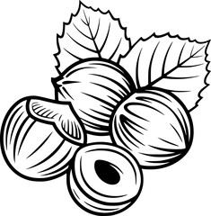 Fototapeta premium Hazelnuts with leaves food nature