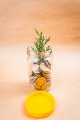 Glass jar filled with coins with a yellow lid and coin growth with a solid bottom