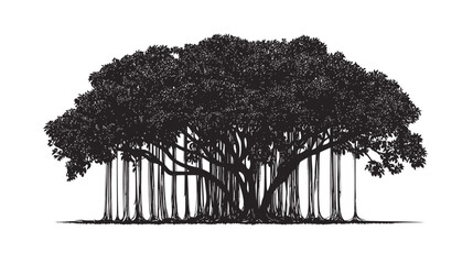 Banyan tree silhouette white background vector illustration, sacred fig tree with aerial roots and wide canopy, black isolated graphic design for logos, posters, and nature themes.
