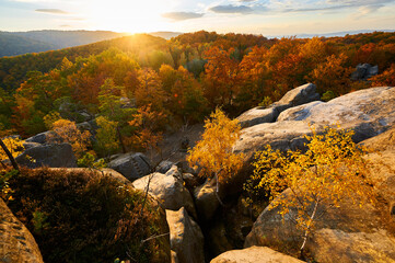 Setting sun casts golden glow over autumn landscape, illuminating vibrant red and orange foliage. Rugged rock formations in foreground under cloudy sky. Dovbush Rocks, Carpathian mountains, Ukraine.