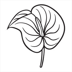 A Minimalist Floral Arrangement with an Elegant Pink Anthurium, a Modern and Luxurious Design Element Perfect for Interior Decor and Still-Life