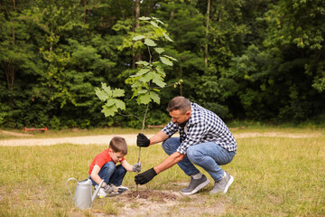 Fototapeta premium Father and his son planting tree into soil outdoors