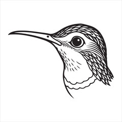 A Shy Siberian Ruby Throat, a Small Migratory Bird, Foraging Quietly in Dense Woodland Undergrowth, Captured in a Candid Nature Scene