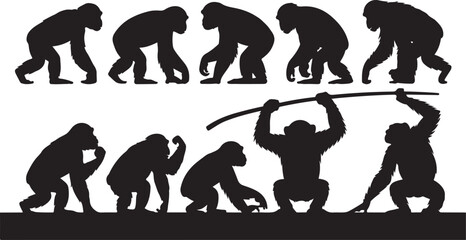 Moonlight and the Monkey