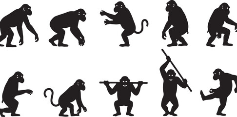 Obsidian Tail in the Moonlight